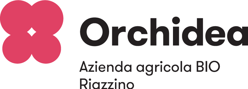 Orchidea
